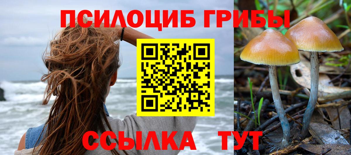 Галлюциногенные грибы MAGIC MUSHROOMS Белово