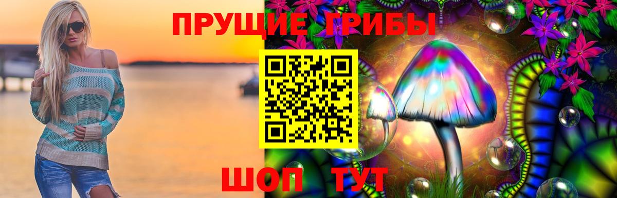 Белово  Галлюциногенные грибы GOLDEN TEACHER  Вход с VPN  Галлюциногенные грибы Psilocybine cubensis 